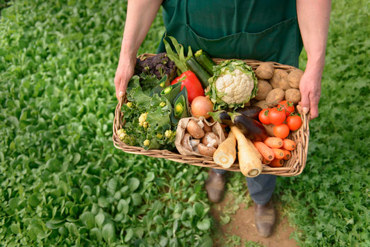 Alimento Orgânico Não é Lixo!